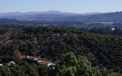 Preserving a Vibrant Agricultural Community in Ventura County