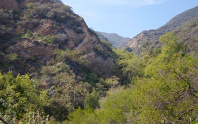 Preserving Key Sections of the Santa Monica Mountains