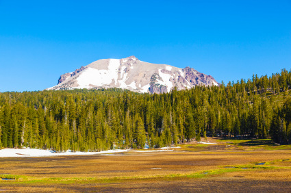 Conifer trees in foreground and snowy Mount Lassen in the background