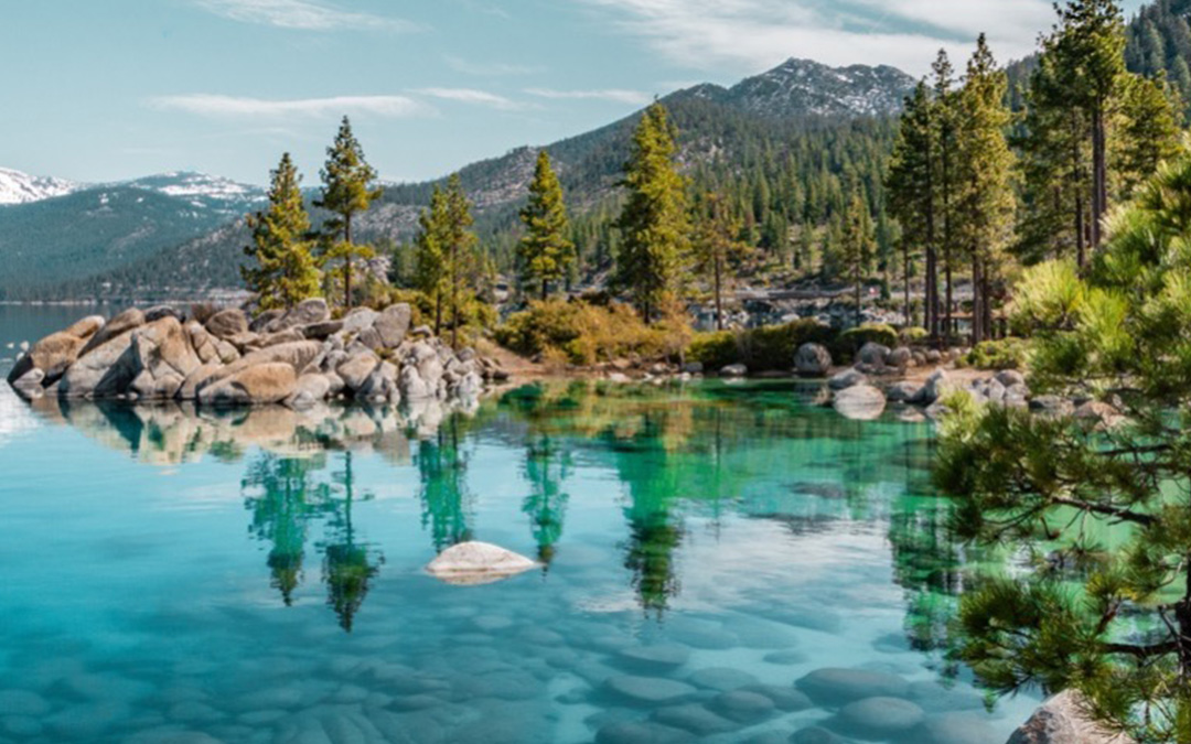 View of Lake Tahoe and trees