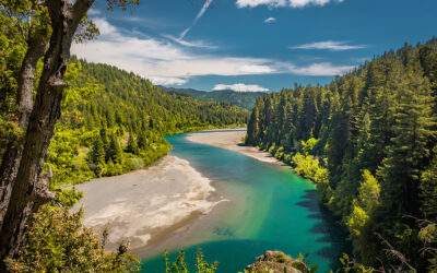 Ensuring Protection of Water Quality in the Eel River from Large Infrastructure Projects