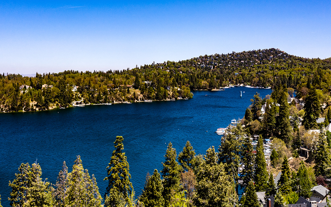Lake with trees surrounding